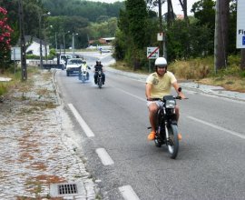 -_20100806_1364599407
